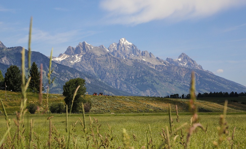Landscape Photography