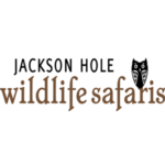 Jackson Hole Wildlife Safaris