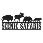 scenic safaris