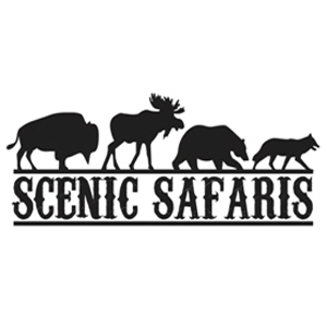 scenic safaris
